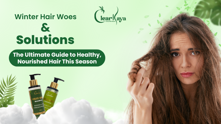 Winter hair care routine guide